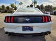 2023 FORD Mustang Ecoboost Fastback