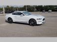 2023 FORD Mustang Ecoboost Fastback