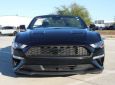 2023 FORD MUSTANG EcoBoost 2dr Convertible