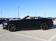 2023 FORD MUSTANG EcoBoost 2dr Convertible