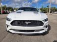 2023 FORD Mustang Ecoboost Fastback