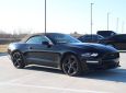 2023 FORD MUSTANG EcoBoost 2dr Convertible