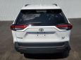 2022 TOYOTA RAV4 XLE WHITE