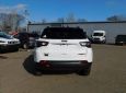 2021 JEPP COMPASS 4x4 Trailhawk 4dr SUV  •  33 miles